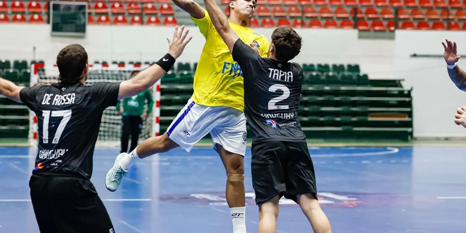 © Reprodução Instagram/handballsca