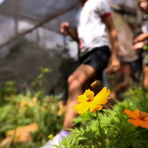 © Marcelo Camargo/Agência Brasil