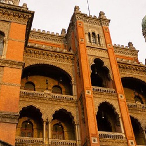 © Rodrigo Méxas/Fiocruz