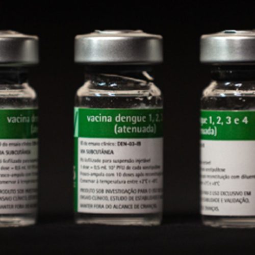 © Instituto Butantan/Divulgação