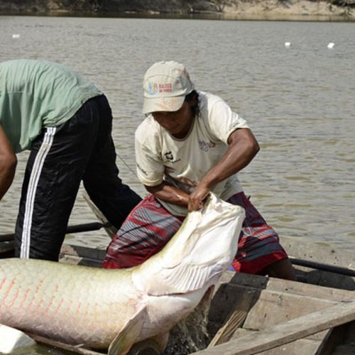 © Adriano Gambarini/OPAN - Divulgação