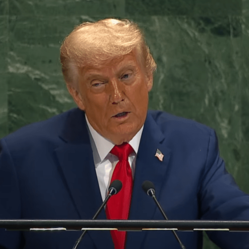 (Foto: Reprodução/ONU)